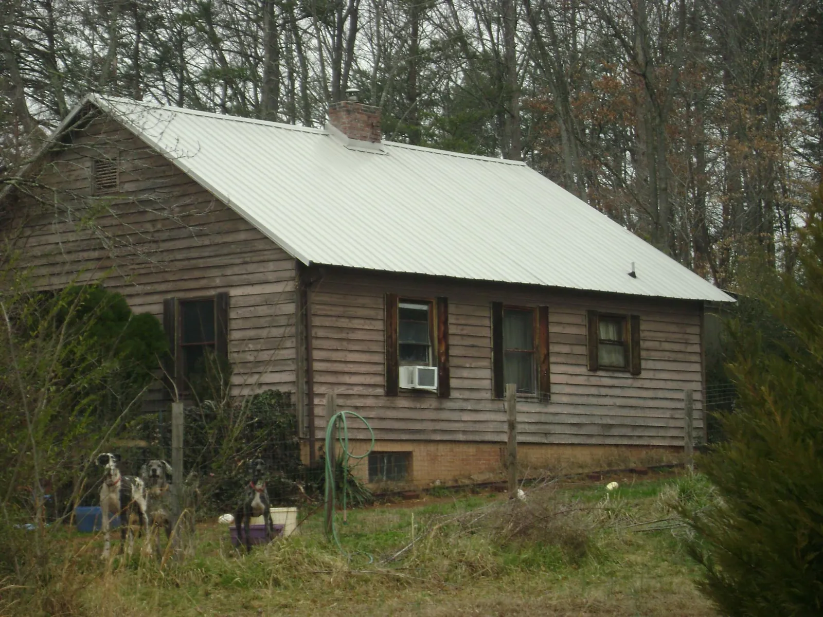 White metal roof on an old wood sided farmhouse, from a Asphalt Shingle Roof Repair job in Ferndale